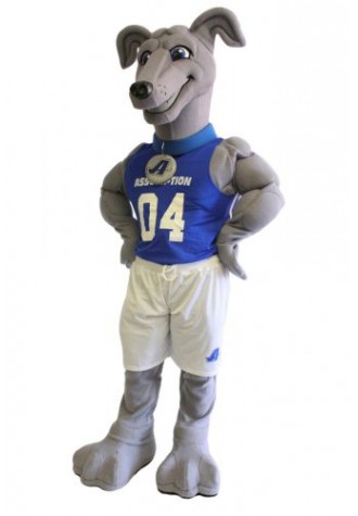 Assumption College Mascot Costume