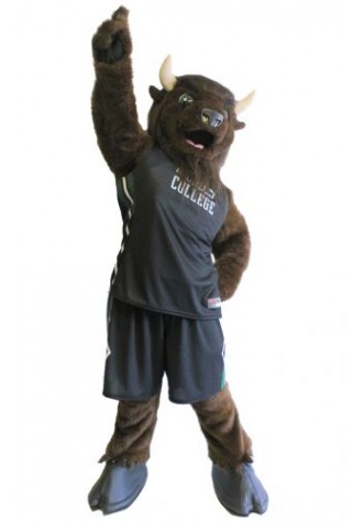 buffalo Mascot Costume