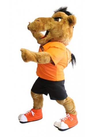 Campbell University  Mascot Costume