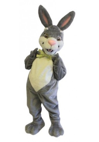 Digital D Photography Mascot Costume