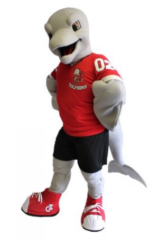 Sport Dolphins Mascot Costume