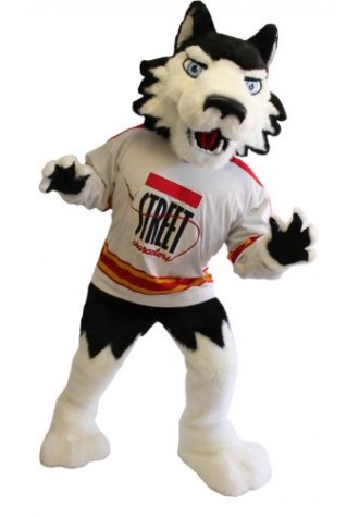 Northern Illinois University  Mascot Costume