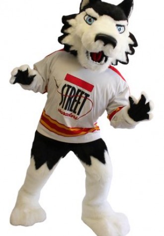 Northern Illinois University  Mascot Costume