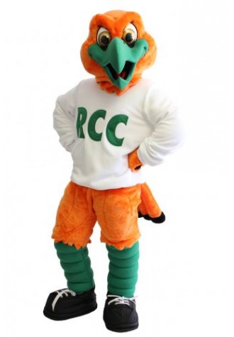Orange Hawk Mascot Costume