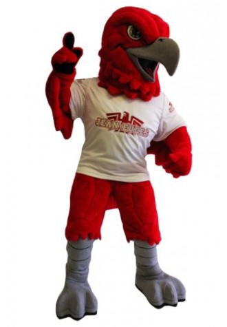 Jean Eudes College Mascot Costume