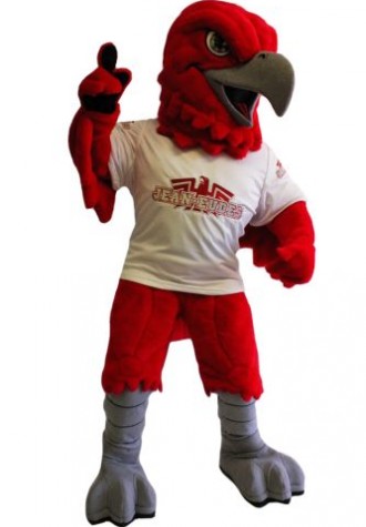 Jean Eudes College Mascot Costume