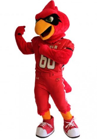Lamar University Eagle Mascot Costume