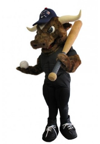 Longhorn Baseball Mascot Costume