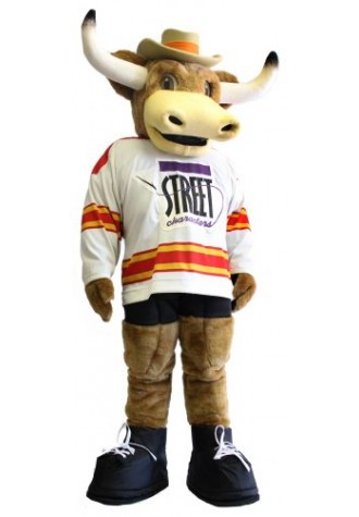 Longhorn Mascot Costume