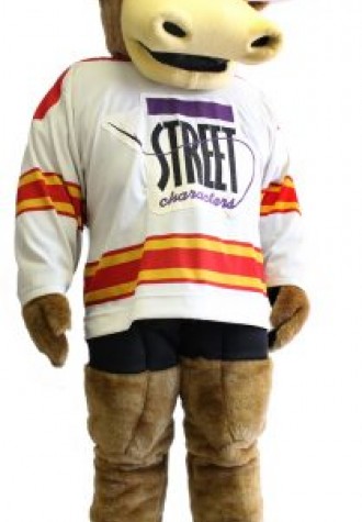 Longhorn Mascot Costume