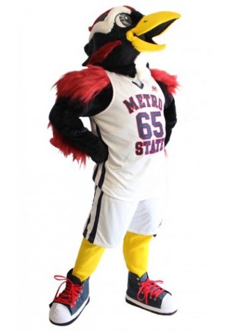 Metropolitan State College of Denver Mascot Costume