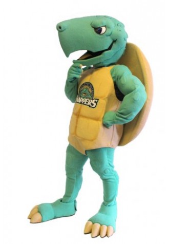 Spoon River College Sheldon Mascot Costume