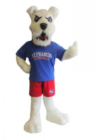 St Francis College Mascot Costume