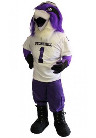 Stonehill Mascot Costume