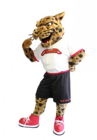 University of Houston Victoria Mascot Costume