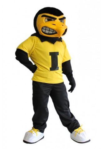 University of Iowa  Herky Mascot Costume