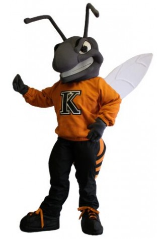 wasp Mascot Costume