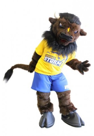 Western Oklahoma State University Mascot Costume