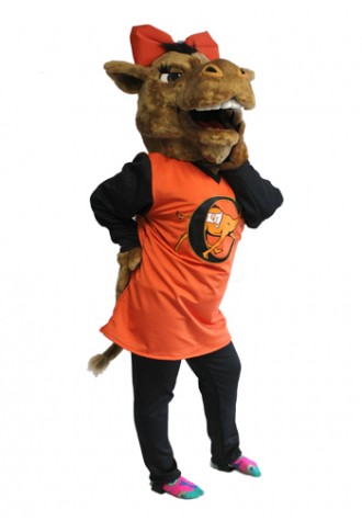 Campbell University Mascot Costume