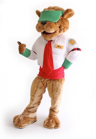 Rooney's AllIn Sports Bar and Grille Mascot Costume