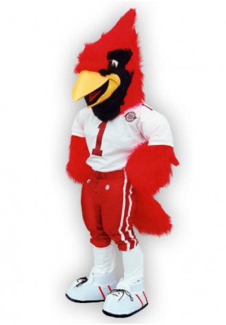 Arizona Cardinals Mascot Costume