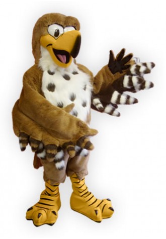 Barr Lake  Talon Mascot Costume