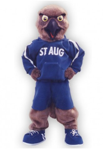 St Augustines Mascot Costume