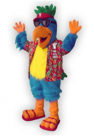 YMCA of the South Coast  Sunny Mascot Costume