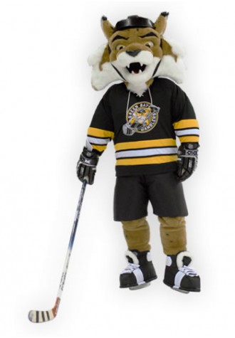 Green Bay Gamblers Ace Mascot Costume