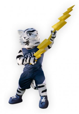Trine University  Storm Mascot Costume