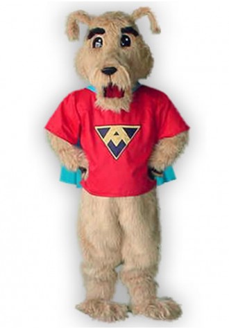  ACAC Fitness And Wellness  Ace Mascot Costume