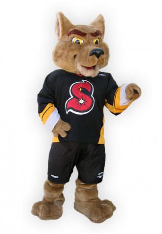 Arizona Sundogs  Berni Mascot Costume