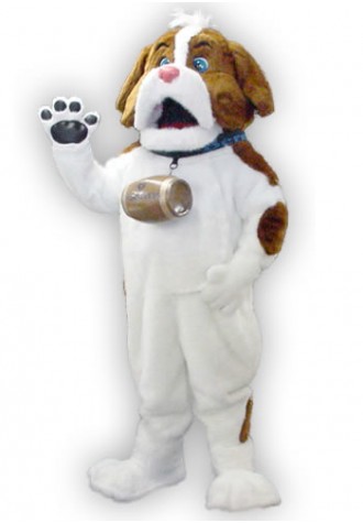 Baycare Health Services  Bern Mascot Costume