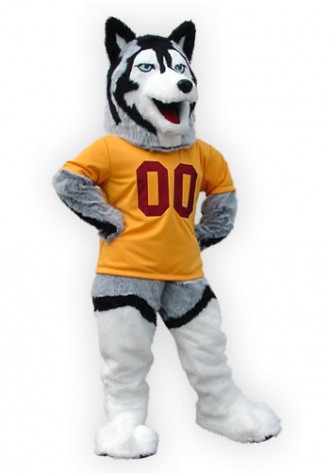 Bloomsburg University Mascot Costume