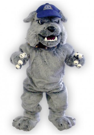 Georgetown  Hoyas Mascot Costume
