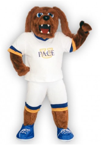 Pace University Mascot Costume