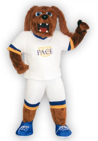 Pace University Mascot Costume