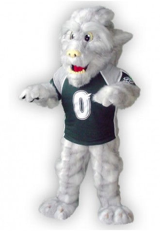 Green Bay Blizzard Mascot Costume