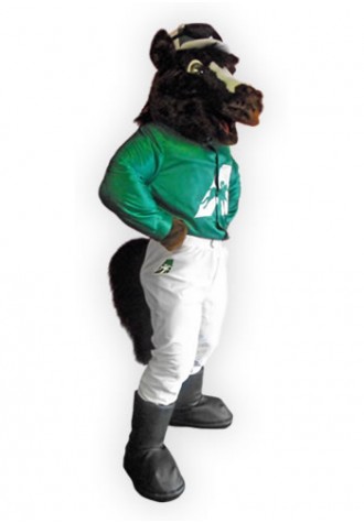 Arlington Park  Arly Mascot Costume