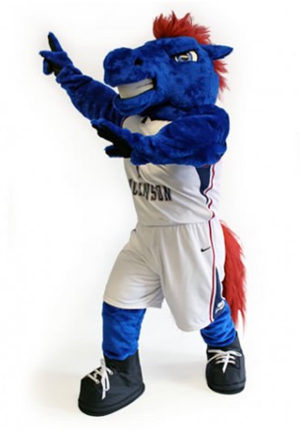 Fairleigh Dickinson Mascot Costume