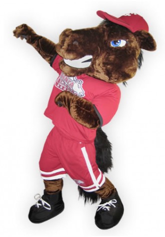 Santa Clara University  Bucky Mascot Costume