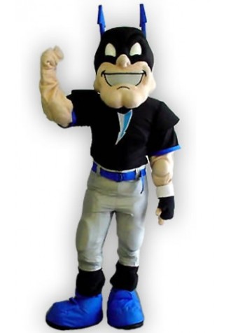 Fresno Frenzy Mascot Costume