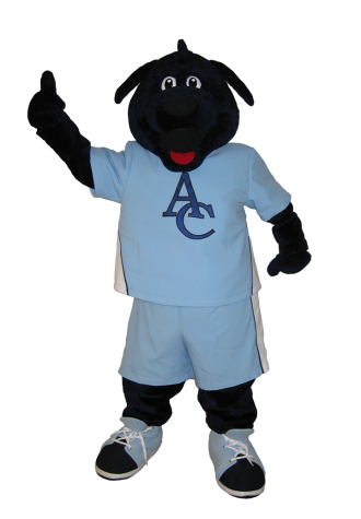 Appleby College Blue Dog Mascot Costume