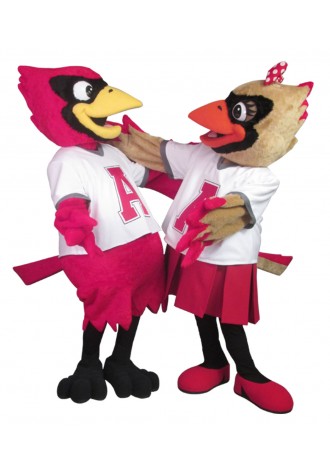 AT Allen Elementary School Abilene and Archie Mascot Costume
