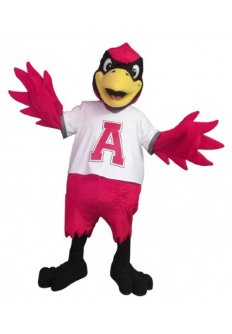 AT Allen Elementary School Archie Mascot Costume