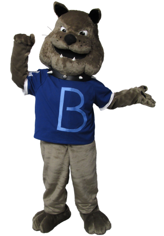 Bancroft School Spike Mascot Costume