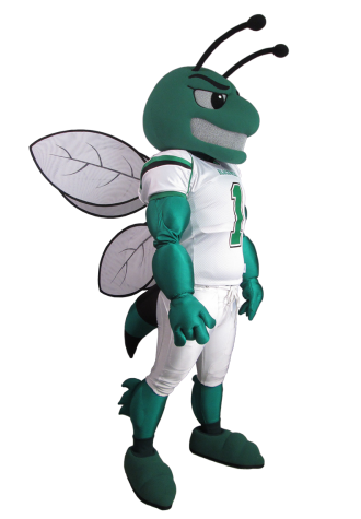 Blackwell Consolidated School Districts Hornet Mascot Costume