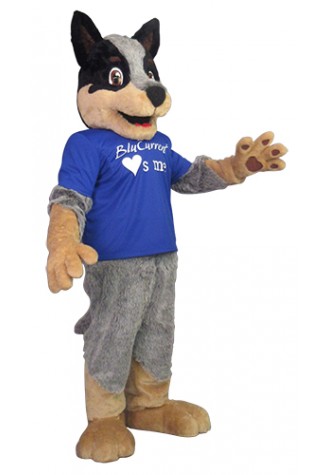 BluCurrent Credit Union Blu Mascot Costume