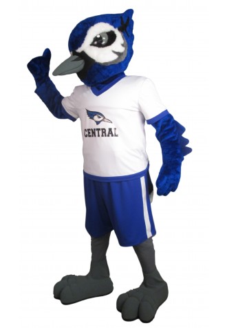 Central Minnesota Christian School Minnesota Blue Jay Mascot Costume
