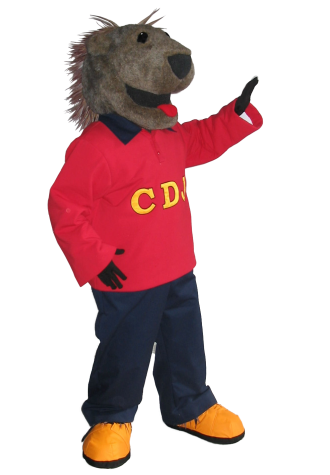 Cites des Jeunes HS Porcupine Mascot Costume